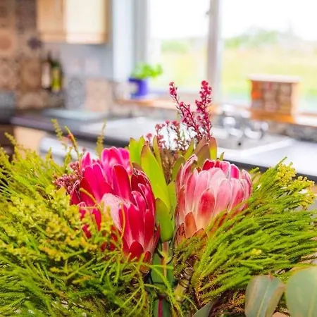 Holiday home Teac Treasa
